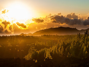 canary-islands-spanish-language-abroad